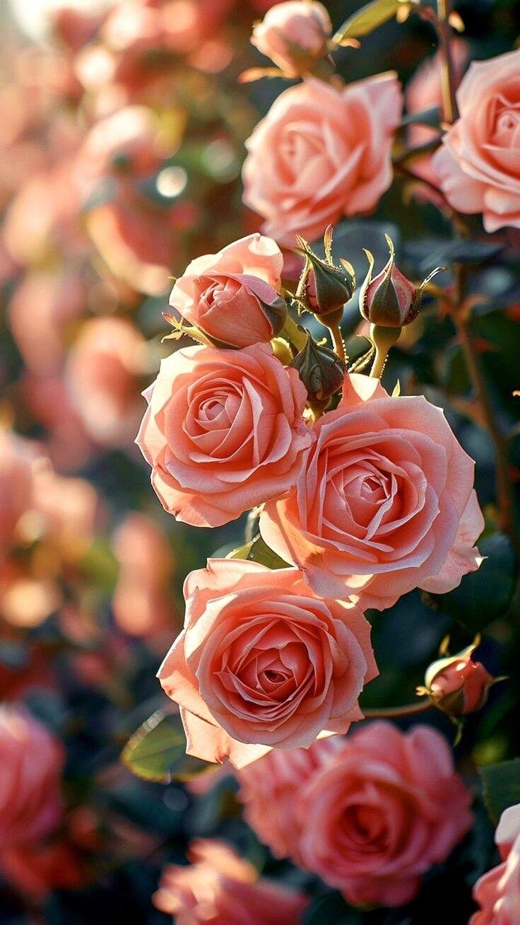 Rising Mirror Solace workshop space where corporate flower arrangements are designed and prepared for business delivery